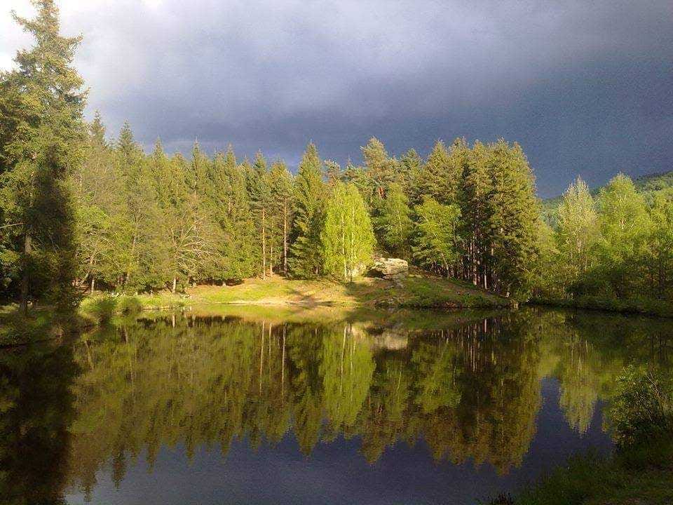 hogofogo kytlice