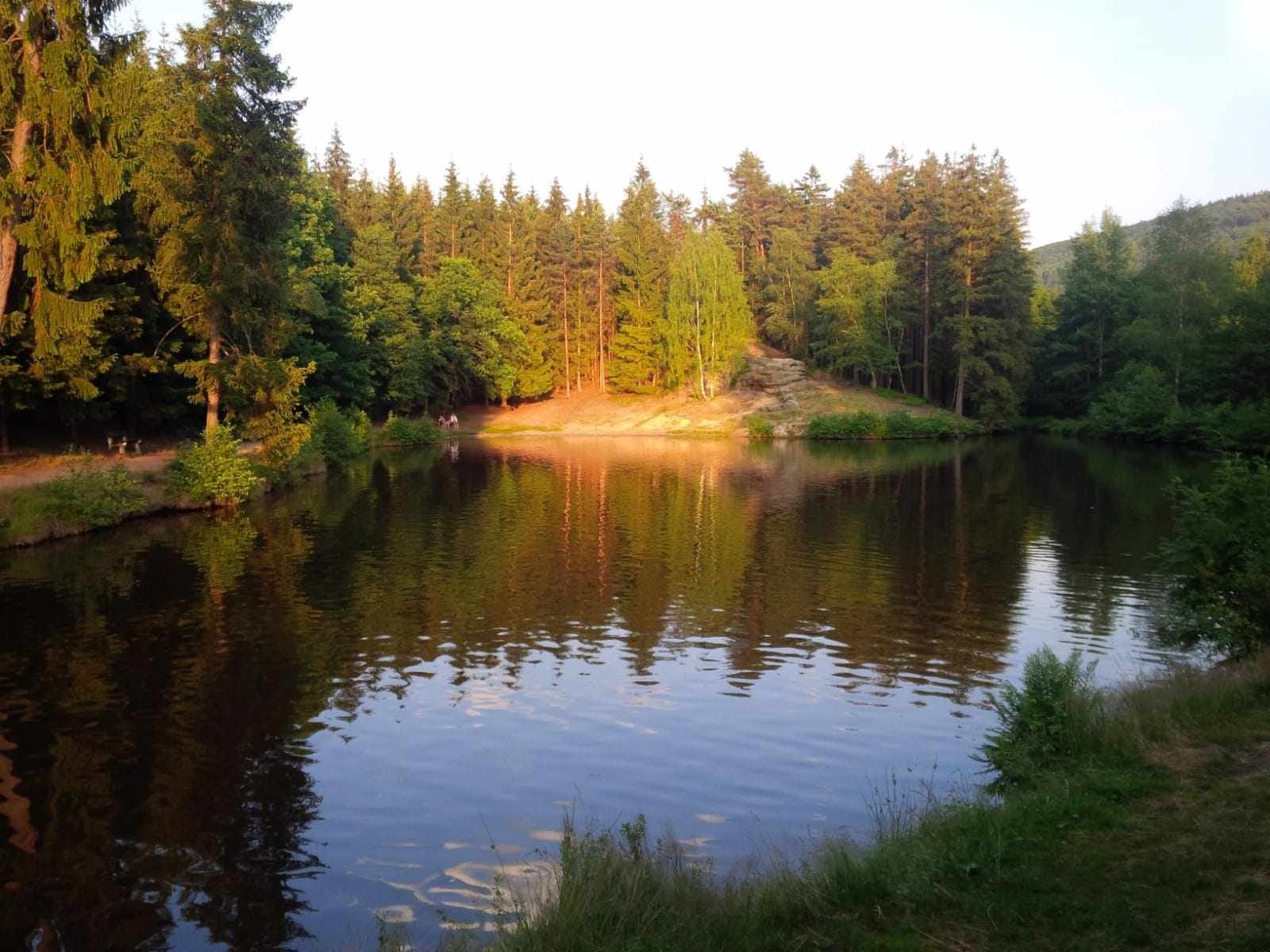 hogofogo kytlice