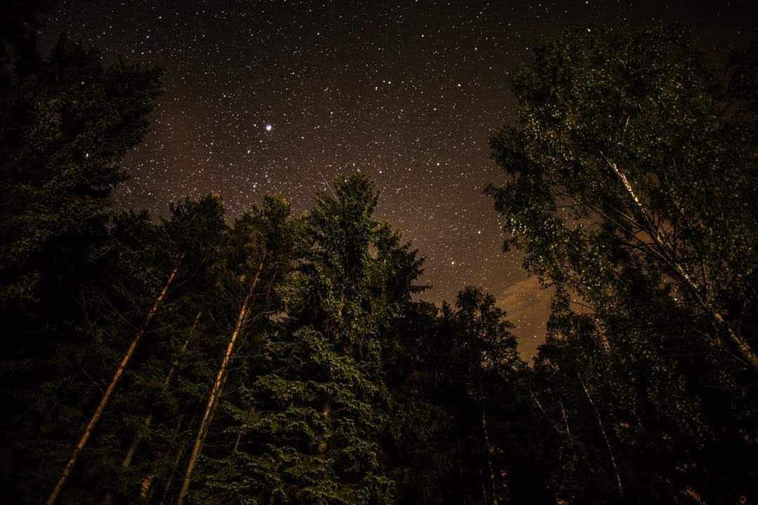hogofogo kytlice